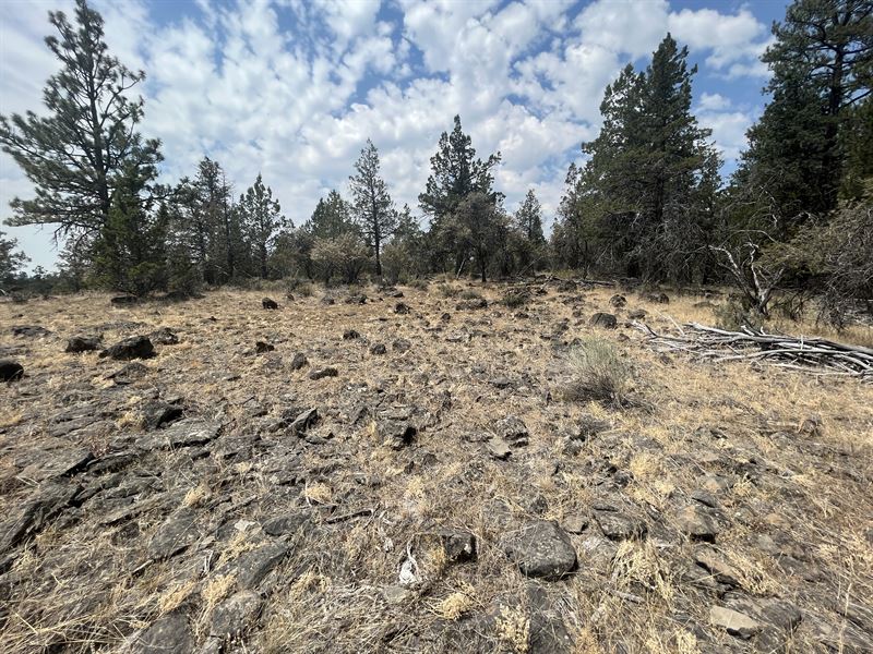 Your 3.17 Acre Oregon Homestead : Bonanza : Klamath County : Oregon