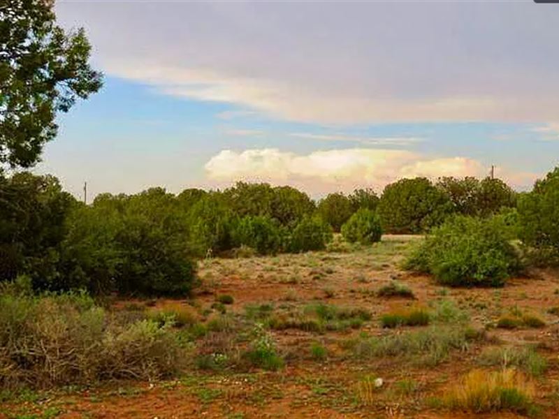 Set with Power & Trees, $250/Mo : Snowflake : Navajo County : Arizona