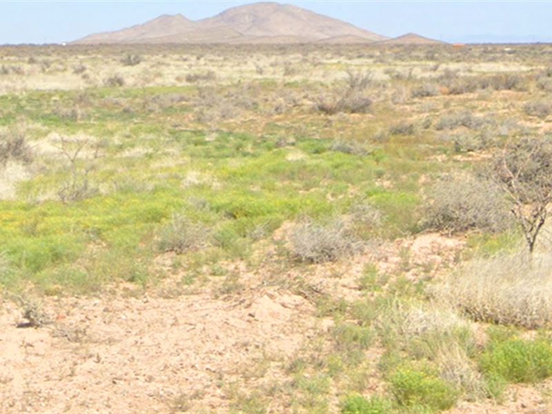 90-Day Same as Cash $249 Down/Mo : Deming : Luna County : New Mexico