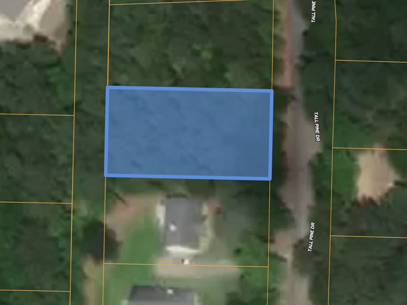 Prestigious Subdivision Lot Cheap : Villa Rica : Carroll County : Georgia