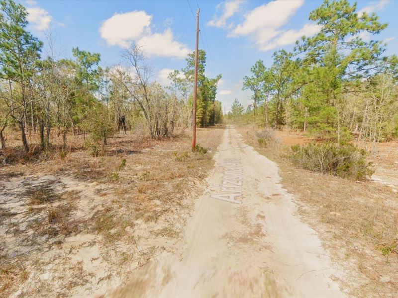 Claim Your Sunshine in FL : Hawthorne : Putnam County : Florida