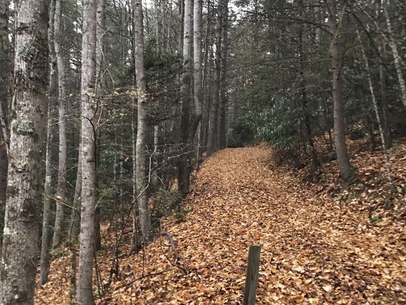 6 Acres in Carroll County, VA : Galax : Carroll County : Virginia