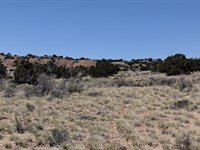 Peace. Space. Freedom : Sanders : Apache County : Arizona