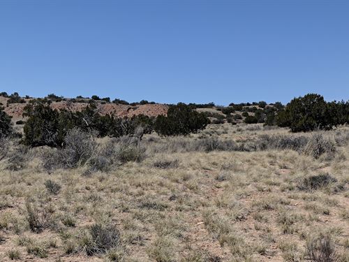 Peace. Space. Freedom : Sanders : Apache County : Arizona