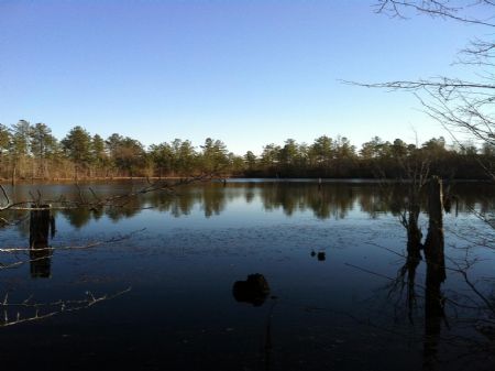 78 Acres with Lake, Field & Timber : Wrightsville : Johnson County : Georgia