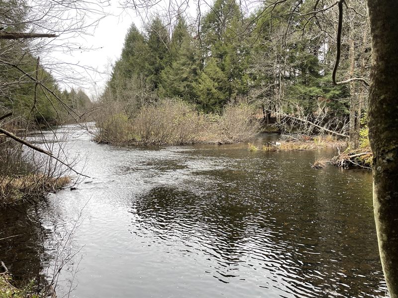 Central New York Riverfront : Florence : Oneida County : New York