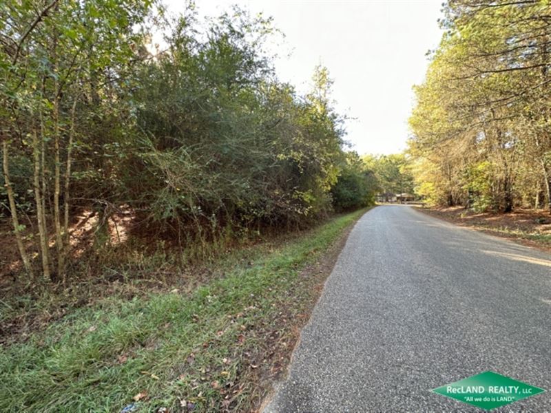 48 Ac, Timberland for Home Sites : Bernice : Union Parish : Louisiana