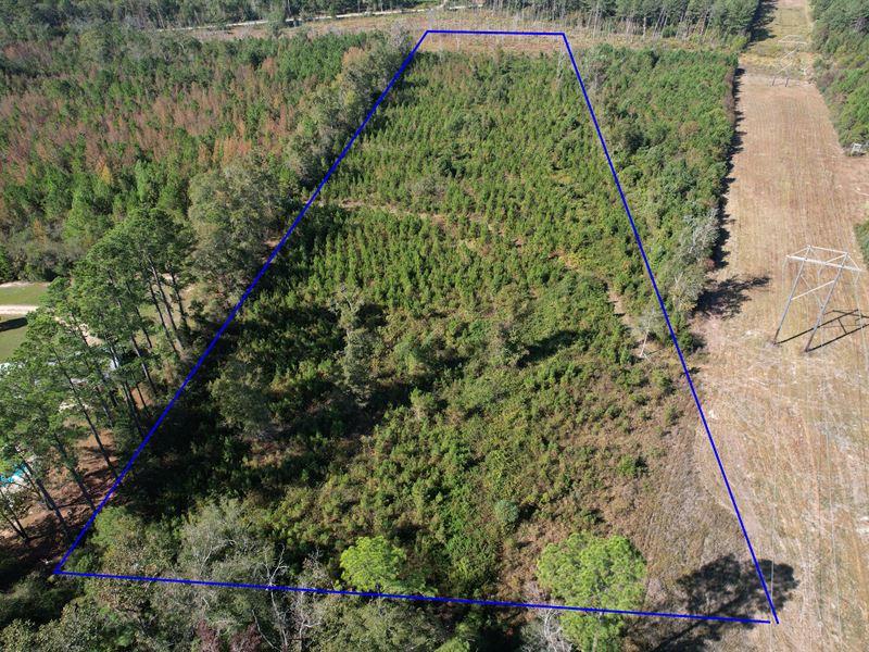 Nathan Jordan Rd Property : Millry : Washington County : Alabama