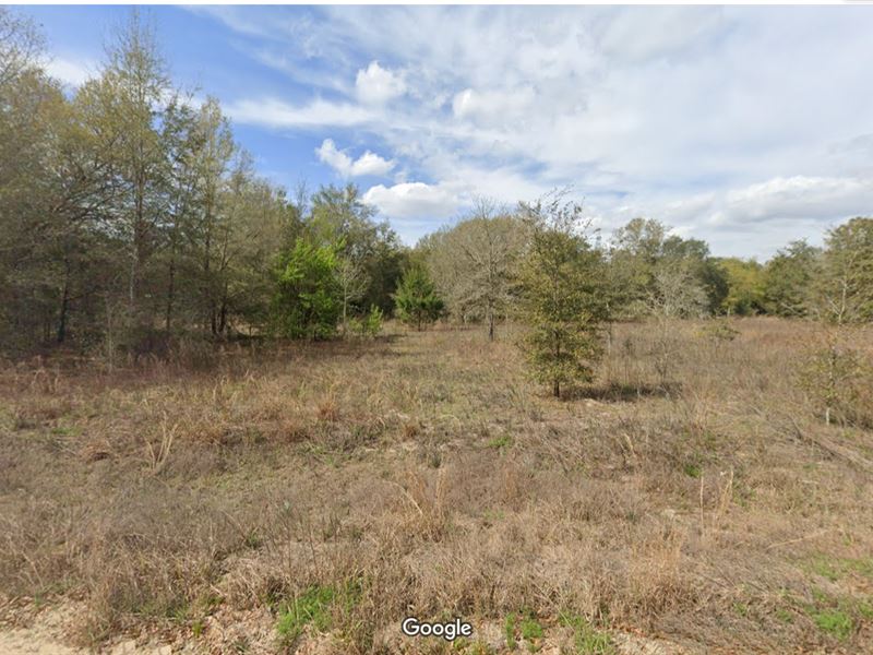 Near Lake Grandin Boat Ramp $229/Mo : Interlachen : Putnam County : Florida