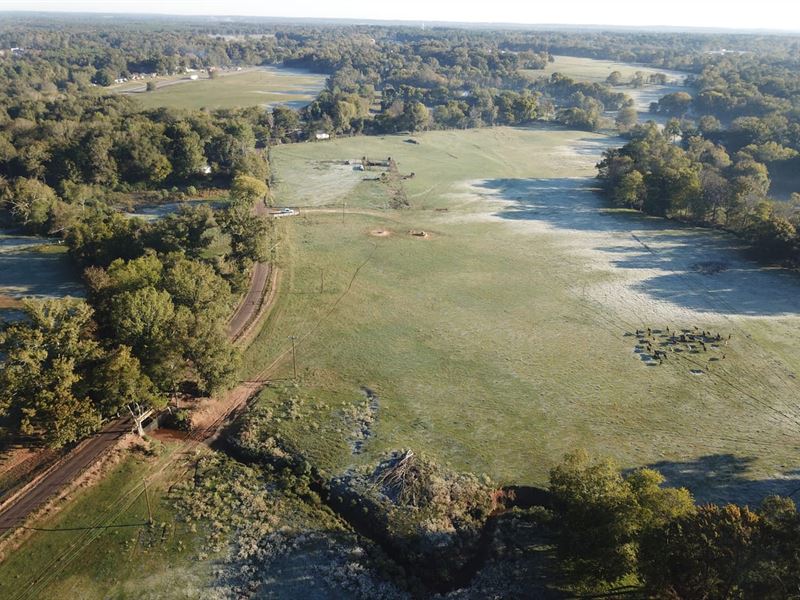Prime Acreage with Versatile Potent : Nacogdoches : Nacogdoches County : Texas