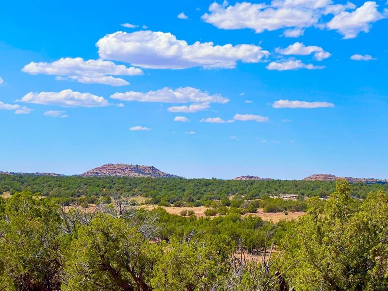 Trees, Stars, and Power $125/Mo : Snowflake : Navajo County : Arizona