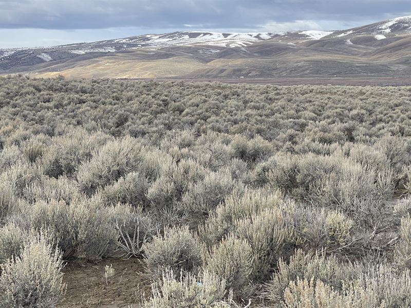1.14 Acre Near South Fork Canyon : Elko : Elko County : Nevada