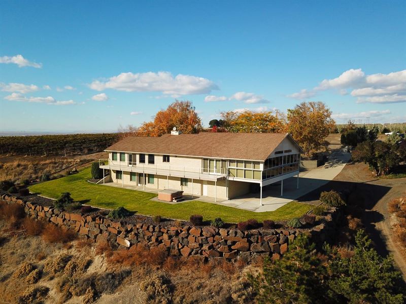 Columbia River & Orchard Views Cust : Pasco : Franklin County : Washington