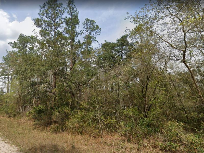 Dive Into Deals, $2000 Off : Interlachen : Putnam County : Florida