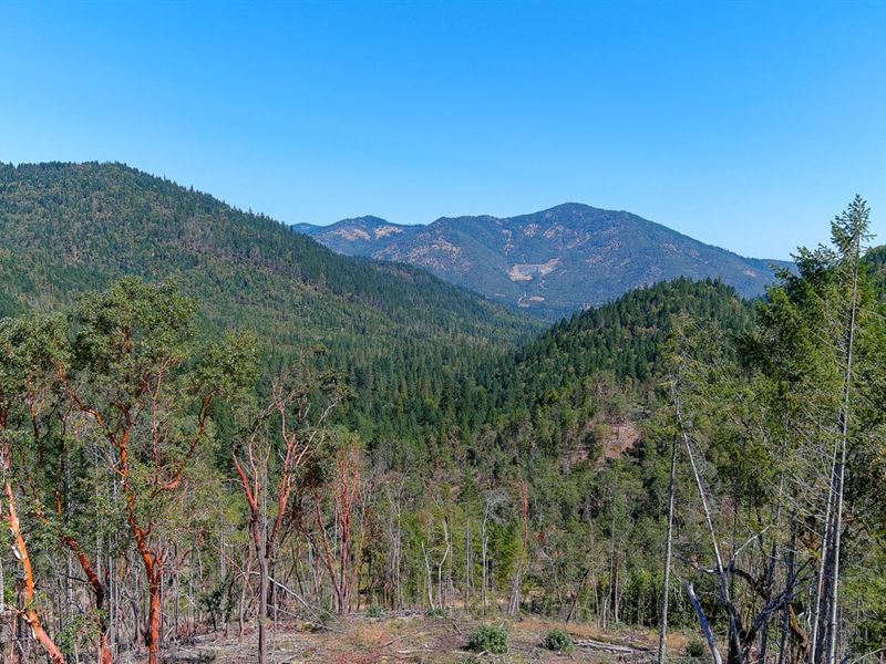 Savage Creek Rd, 2600 : Grants Pass : Jackson County : Oregon