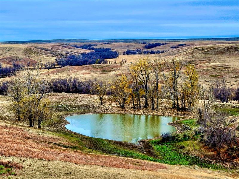Buffalo Coulee Ranch : Glasgow : Valley County : Montana