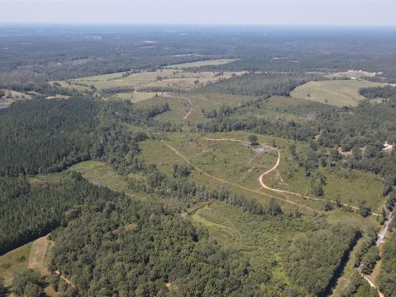 122 Acres for Sale in Jasper County : Heidelberg : Jasper County : Mississippi