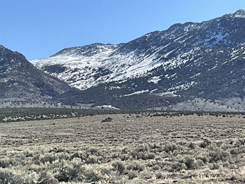 Create a Mega Ranch, 10 Acres : Elko : Elko County : Nevada