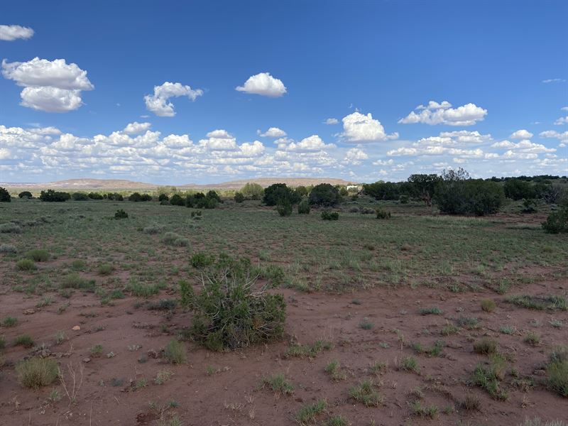 Massive Sale Alert : Albuquerque : Apache County : Arizona