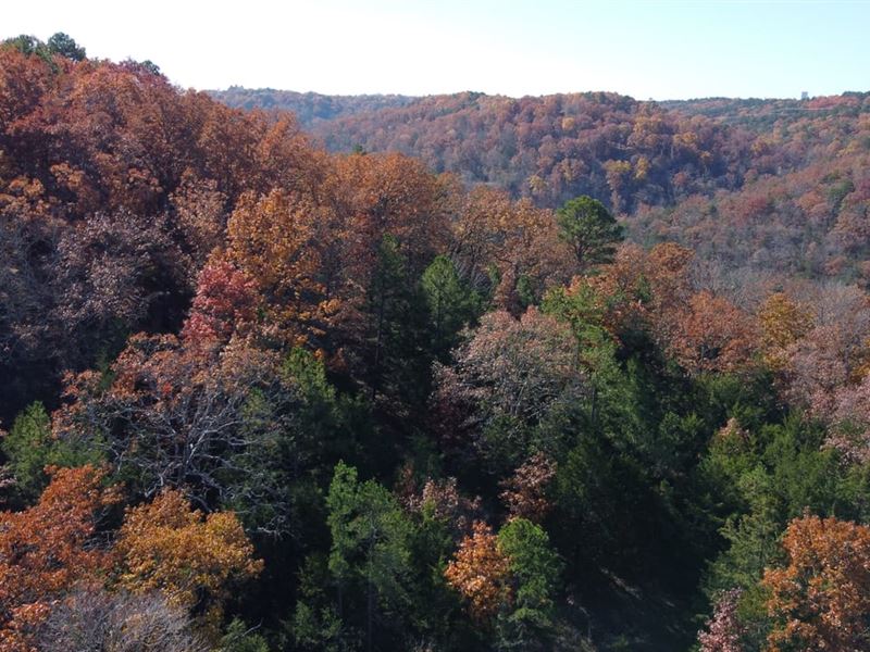 Oasis in Eureka Springs : Eureka Springs : Carroll County : Arkansas