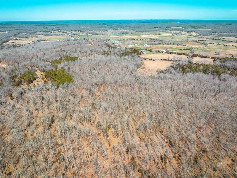 Red Barn Lodge Acres-Tract 2 : Licking : Texas County : Missouri