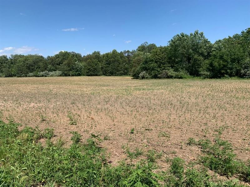 Moberly Farm & Hunt Tract 8 : Madison : Monroe County : Missouri