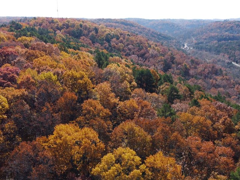 Eureka Oasis Tract 2 : Eureka Springs : Carroll County : Arkansas