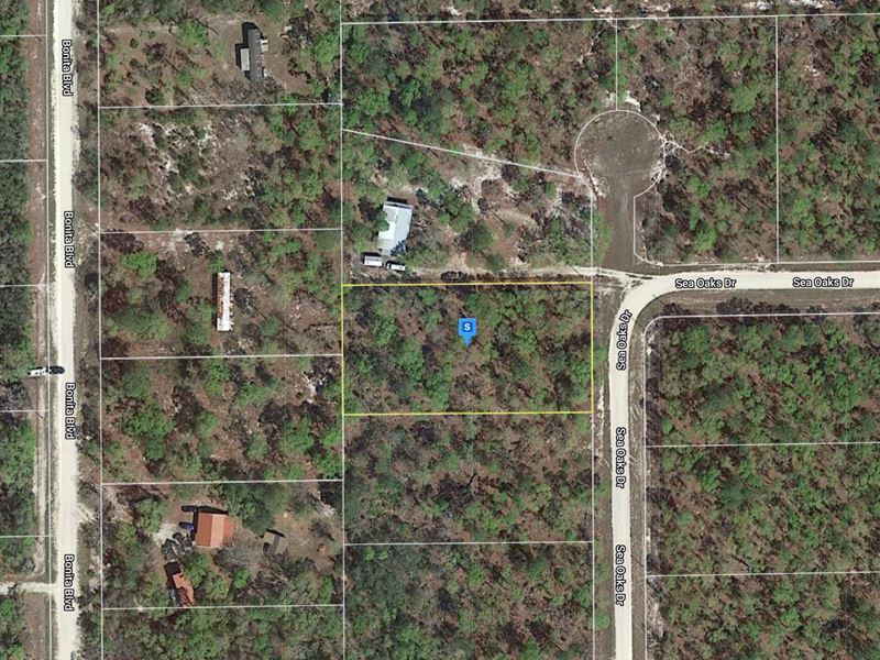 1 Acre Unassigned Perry, FL 32348 : Perry : Taylor County : Florida