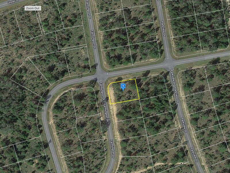 .258 Acre Farmington Dr Chipley, FL : Chipley : Washington County : Florida