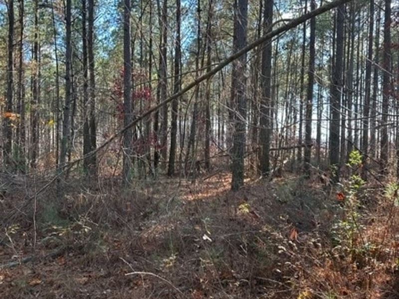 5.66 Acres Unrestricted & Wooded : Dunlap : Sequatchie County : Tennessee