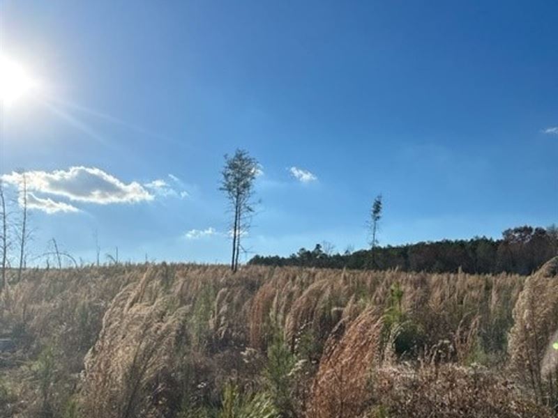 5.27 Acres Unrestricted Wooded pr : Dunlap : Sequatchie County : Tennessee