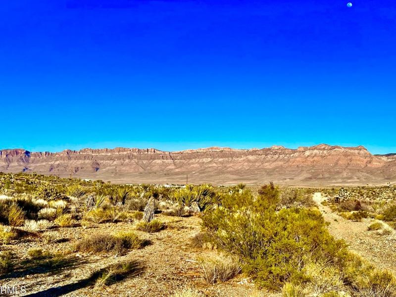 Double Lot Delight, Power $175/Mo : Meadview : Mohave County : Arizona