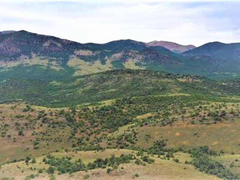Privacy with Views of Mountains : Montello : Elko County : Nevada