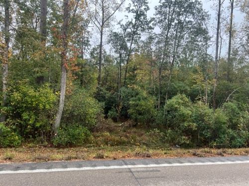 19.4 Acres / Patonia Road In City : Lumberton : Lamar County : Mississippi