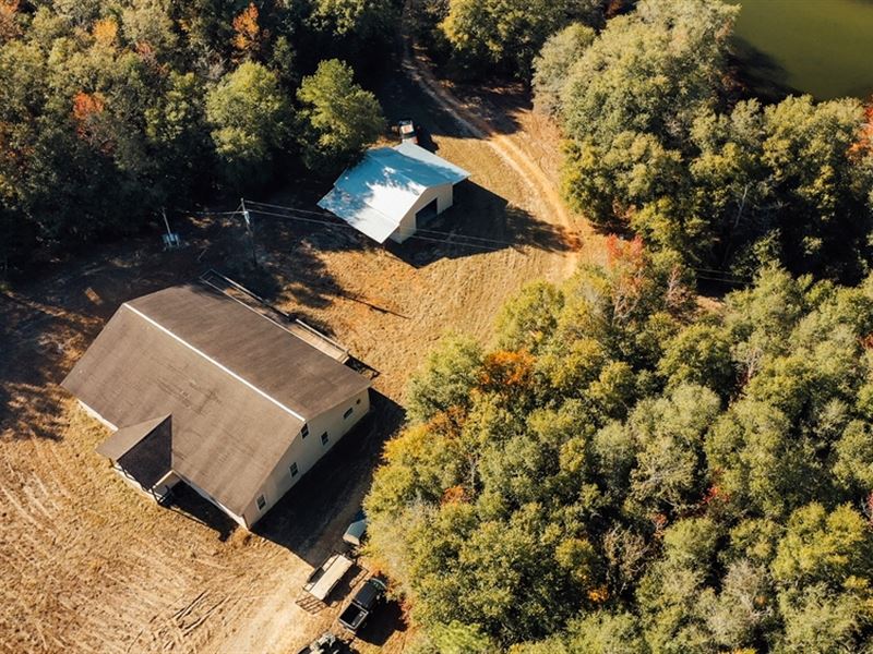 262.4 Acres and A Camp in Wayne Cou : Buckatunna : Wayne County : Mississippi