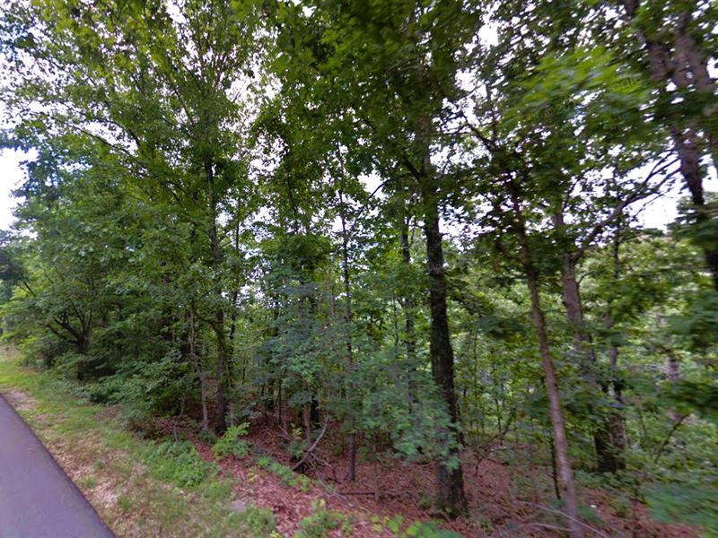 Untouched Enclave of Bella Vista : Bella Vista : Benton County : Arkansas