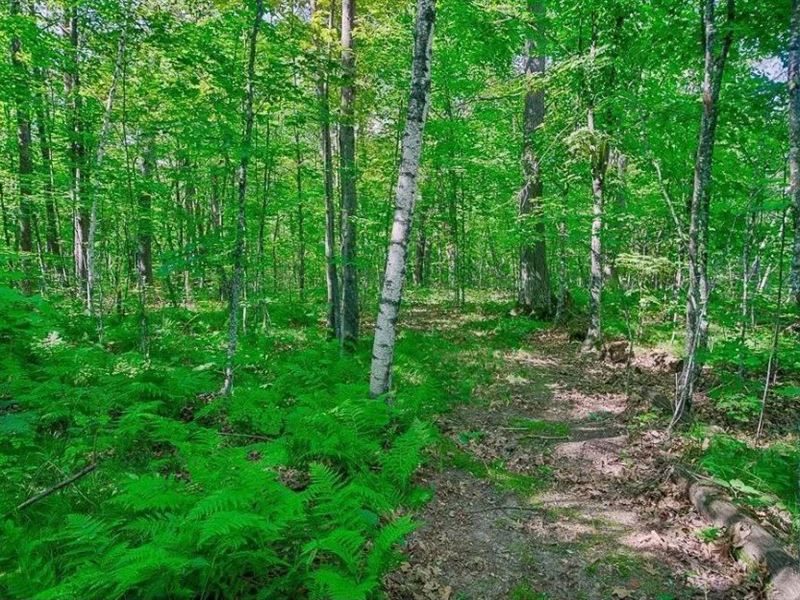 Nature & Necessities for $250/Mo : Garrison : Mille Lacs County : Minnesota