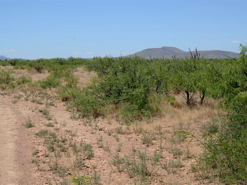 Super Nice, Ru-4 Zoning, $575/Month : Sunizona : Cochise County : Arizona