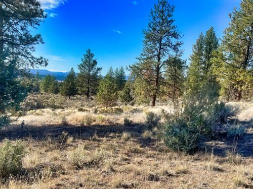 Klamath County Oregon Campsite Land for Sale : LANDFLIP