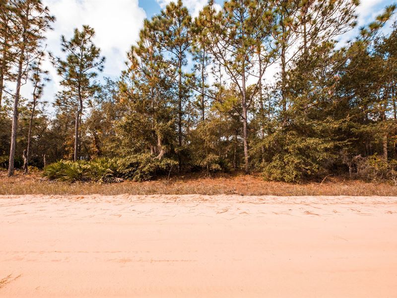 Affordable Country Living : Interlachen : Putnam County : Florida