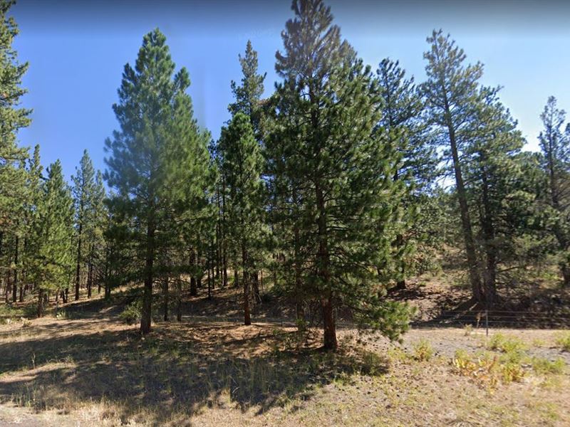 Enhance Your Legacy with 0.98 Acres : Alturas : Modoc County : California