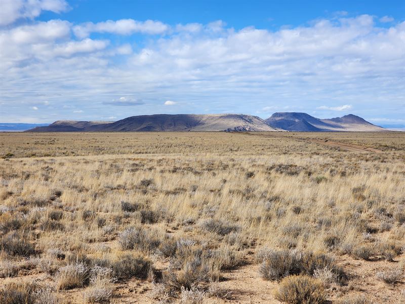 Oasis in Costillo County : Mesita : Costilla County : Colorado