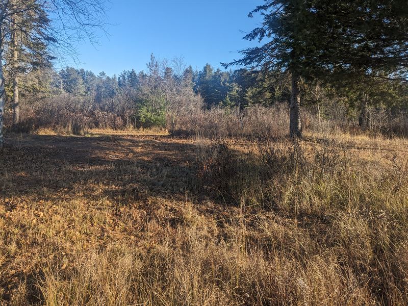 Secluded Paradise with Lake Access : Lake Linden : Houghton County : Michigan