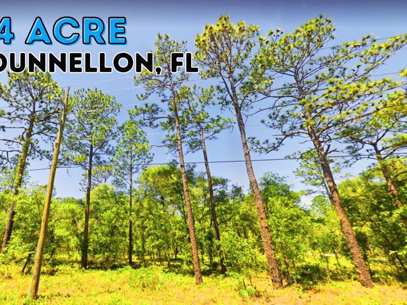 Have an Escape to Paradise : Highview Avenue : Marion County : Florida