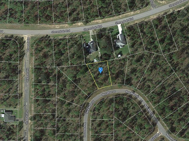 .3 Acre Newmoon Dr Chipley, FL : Chipley : Washington County : Florida