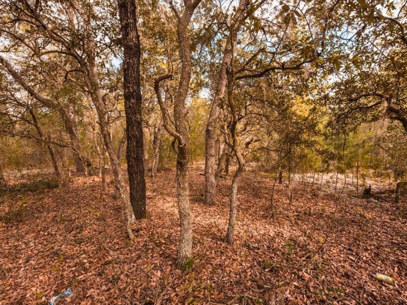 .24 Acres of Possibility Await You : Interlachen : Putnam County : Florida