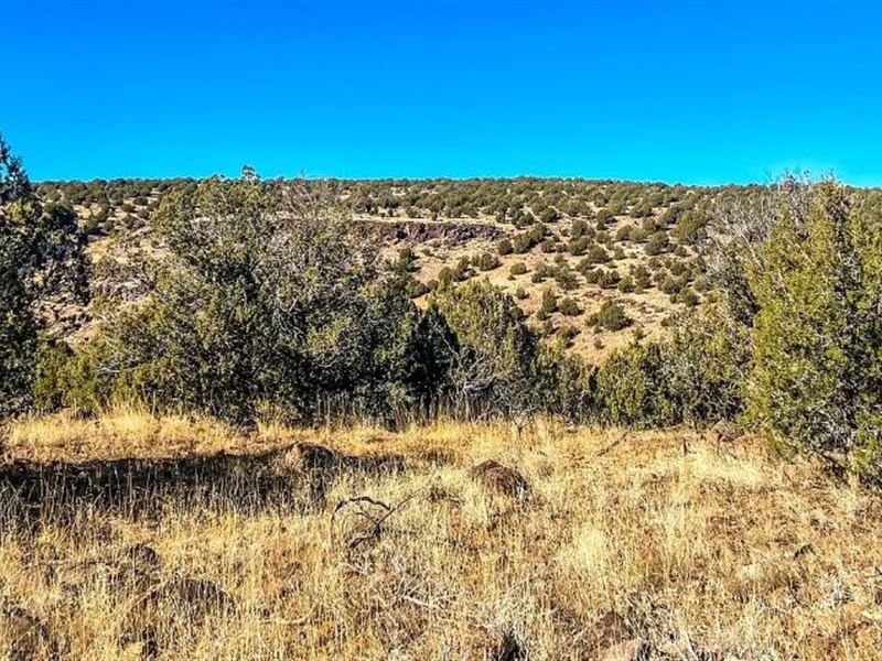 Trees & Views $175-350/Mo : Williams : Coconino County : Arizona
