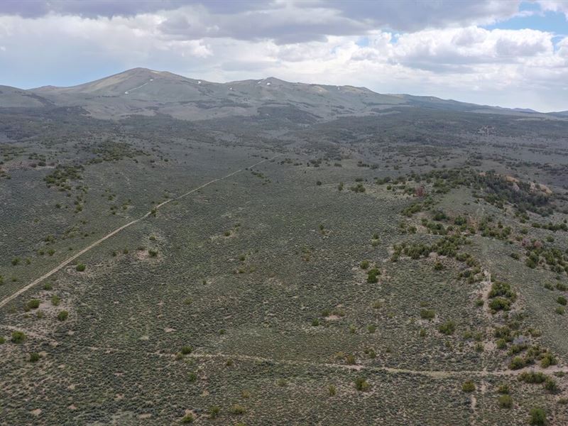 The American West Awaits, 10 Acres : Elko : Elko County : Nevada