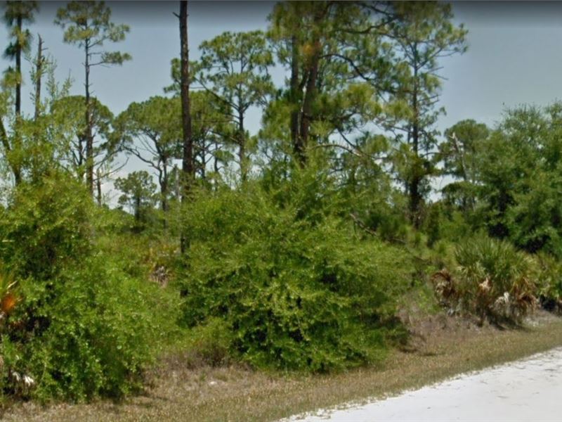 This Black Friday, $3000 Off : Punta Gorda : Charlotte County : Florida