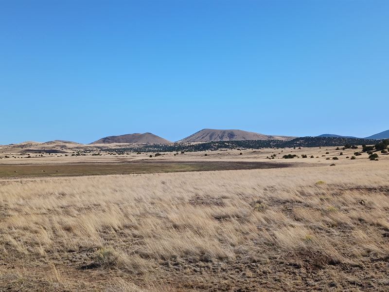 1 Acre No Restrictions Just $109/Mo : Concho : Apache County : Arizona